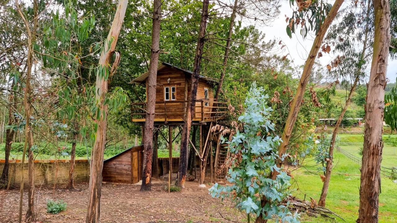 Vale Da Silva Villas - Quinta Албергария-а-Велья Экстерьер фото