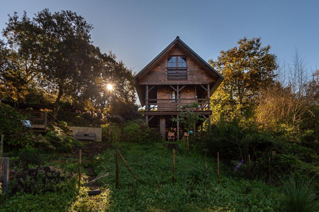 Vale Da Silva Villas - Quinta Албергария-а-Велья Экстерьер фото