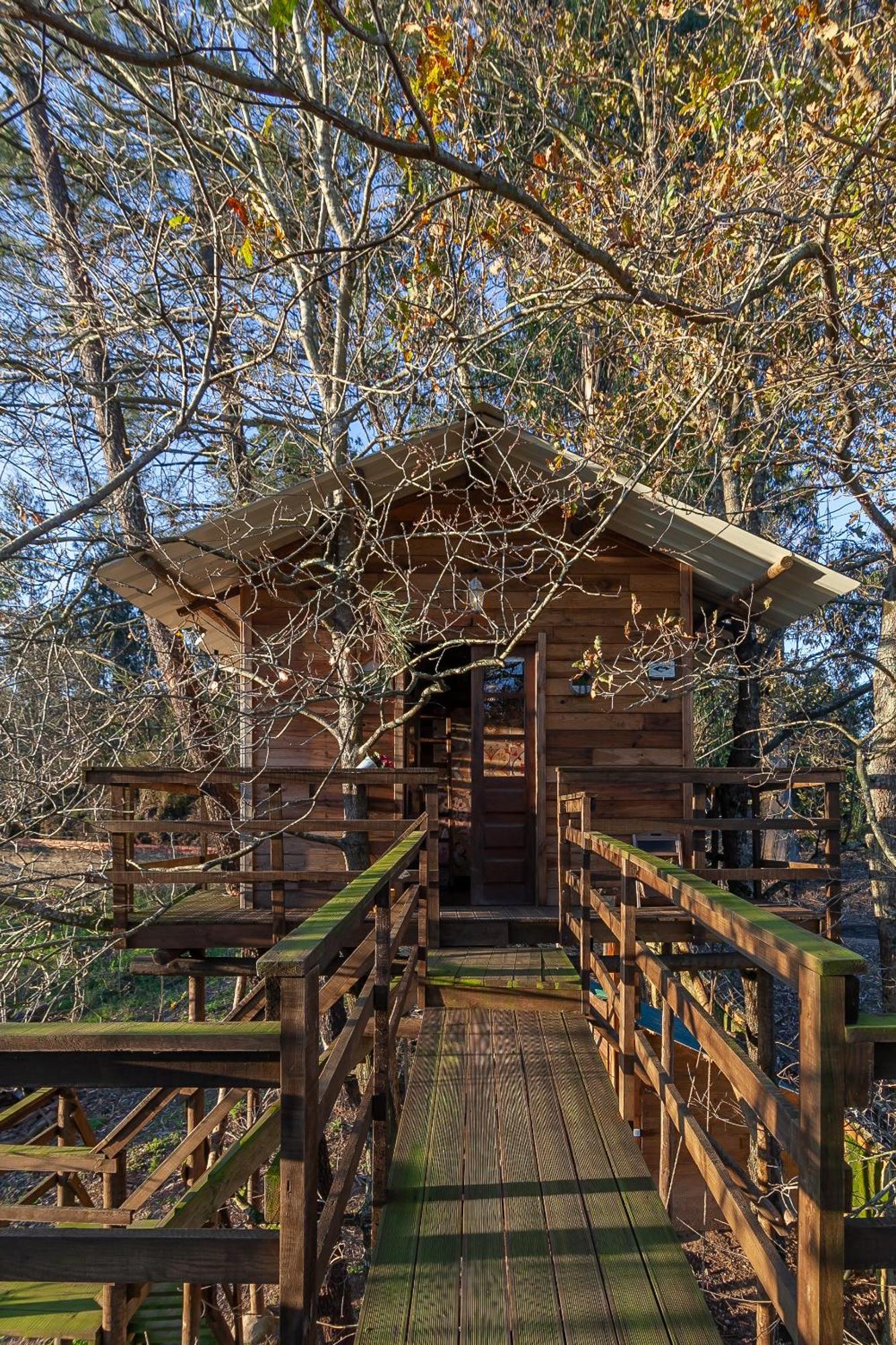 Vale Da Silva Villas - Quinta Албергария-а-Велья Номер фото